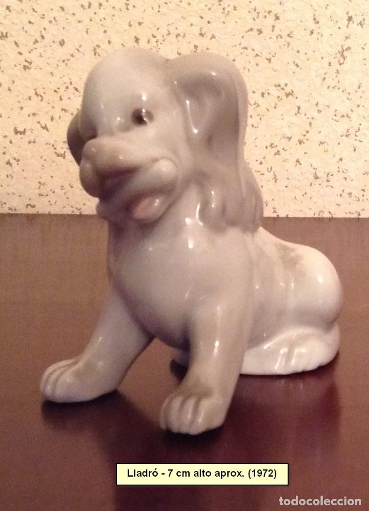 Antiguidades: perrito Lladr&oacute;