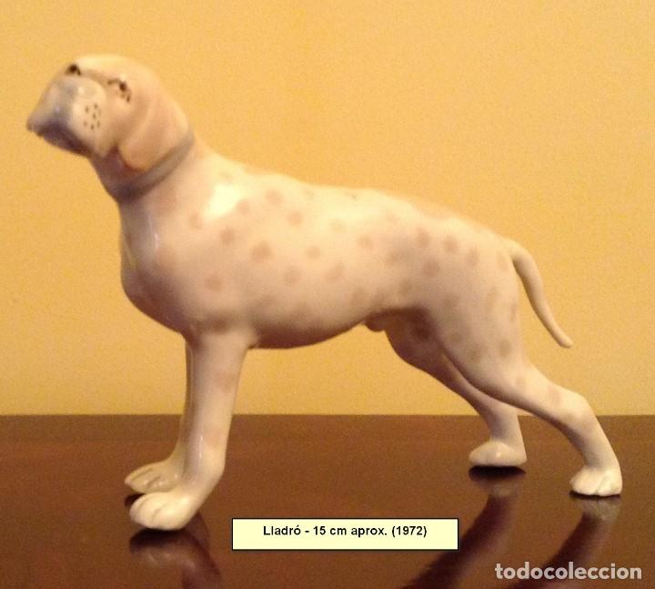 Antiguidades: perro D&aacute;lmata