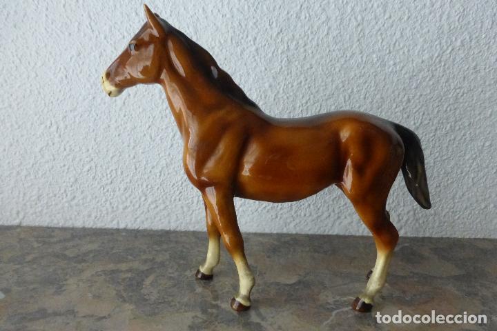 Antig&uuml;edades: CABALLO DE PORCELANA - Foto 1