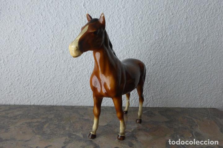 Antig&uuml;edades: CABALLO DE PORCELANA - Foto 2