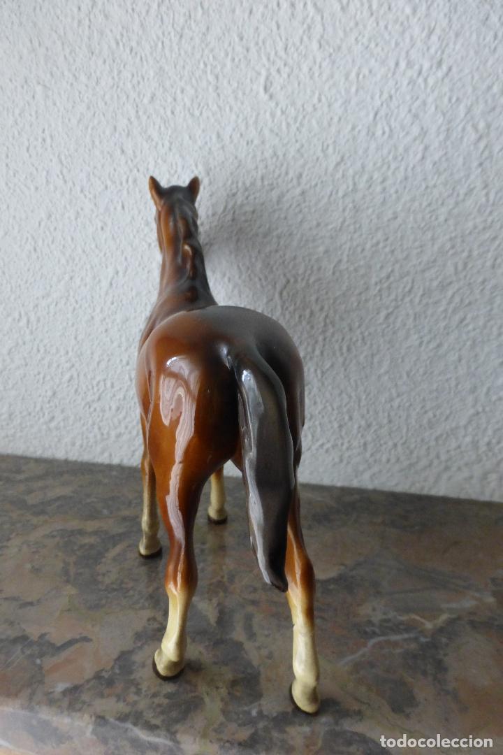 Antig&uuml;edades: CABALLO DE PORCELANA - Foto 3