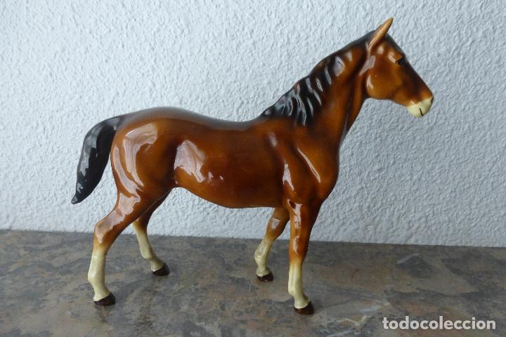 Antig&uuml;edades: CABALLO DE PORCELANA - Foto 4