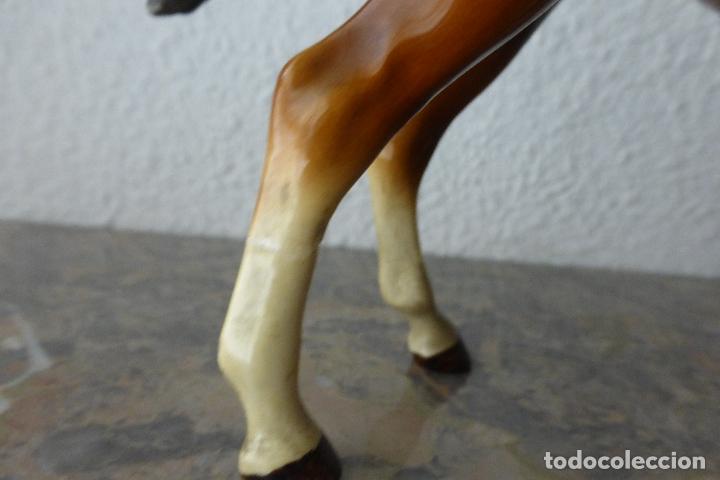 Antig&uuml;edades: CABALLO DE PORCELANA - Foto 5