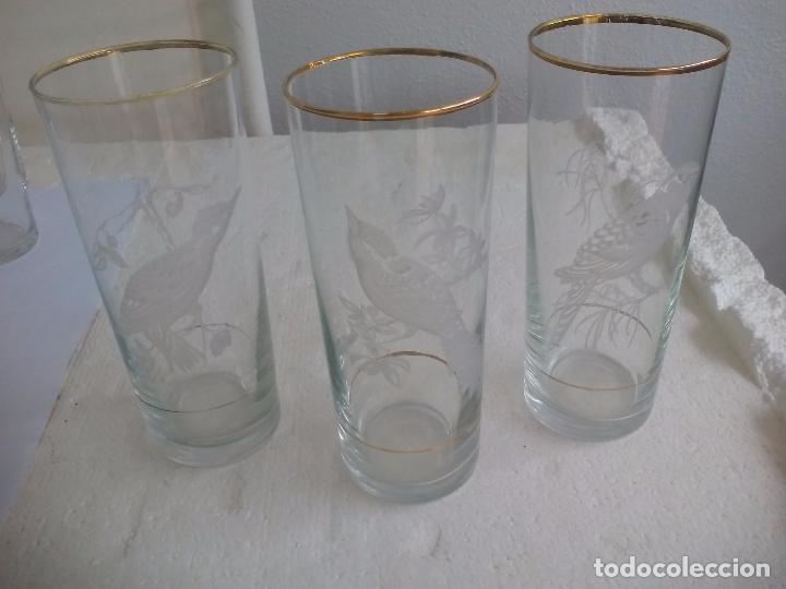 Antiquit&eacute;s: Lote de 3 Vasos de tubo serigrafiados con pajaros, aves. Pajaro, ave. Vaso cristal.15,7 cm