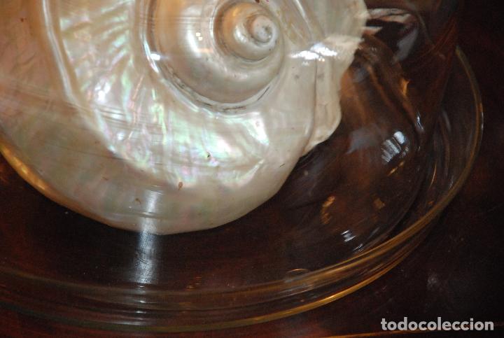 Antig&uuml;edades: ANTIGUA QUESERA DE CRISTAL CON PLATO - Foto 4