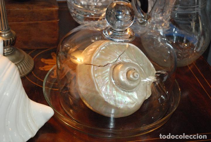Antig&uuml;edades: ANTIGUA QUESERA DE CRISTAL CON PLATO - Foto 5