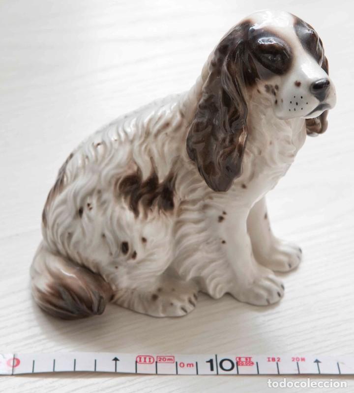 Antig&uuml;edades: Porcelana de perro de la raza Cocker Spaniel. - Foto 1