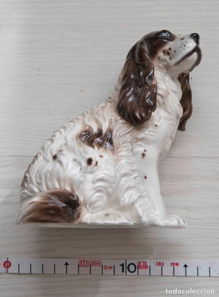 Antig&uuml;edades: Porcelana de perro de la raza Cocker Spaniel. - Foto 3