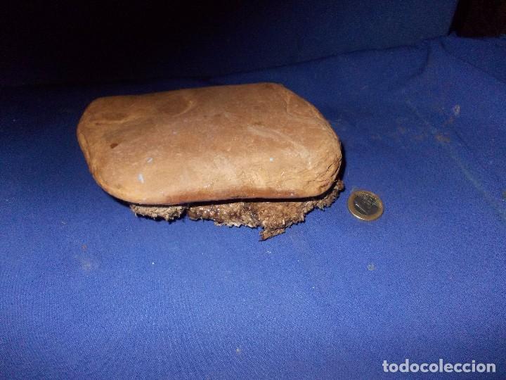 Antig&uuml;edades: panal de avispa en piedra - Foto 2
