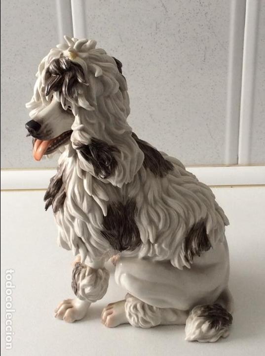 Antig&uuml;edades: Perro porcelana Algora - Foto 2