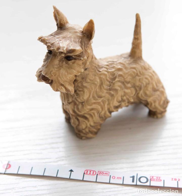 Antig&uuml;edades: Perro de raza Schnauzer miniatura en pasta. - Foto 4