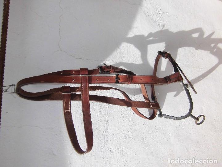 Antig&uuml;edades: calabresa de cuero con serreta - Foto 1
