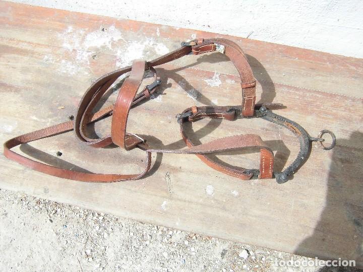 Antig&uuml;edades: calabresa de cuero con serreta - Foto 2