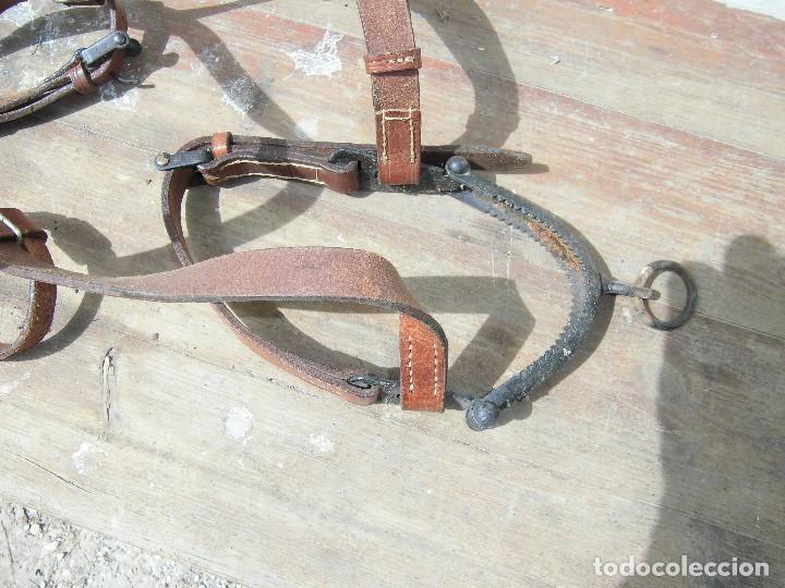 Antig&uuml;edades: calabresa de cuero con serreta - Foto 3