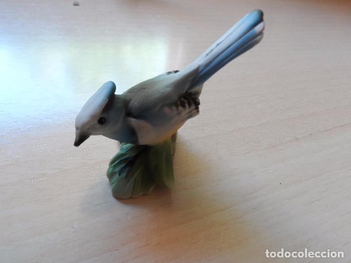 Antig&uuml;edades: antigua pieza de ceramica pajaro capodimonte