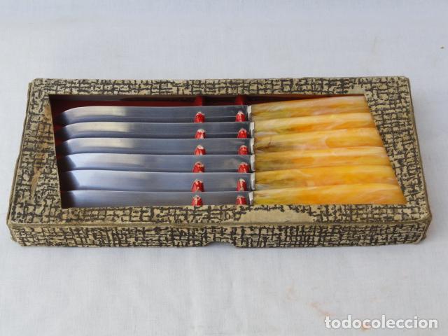Antiguidades: LOTE DE 6 CUCHILLOS INOXIDABLES CON CAJA.