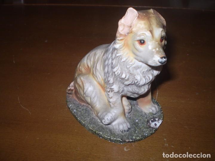 Antig&uuml;edades: PERRO FIGURA - Foto 1