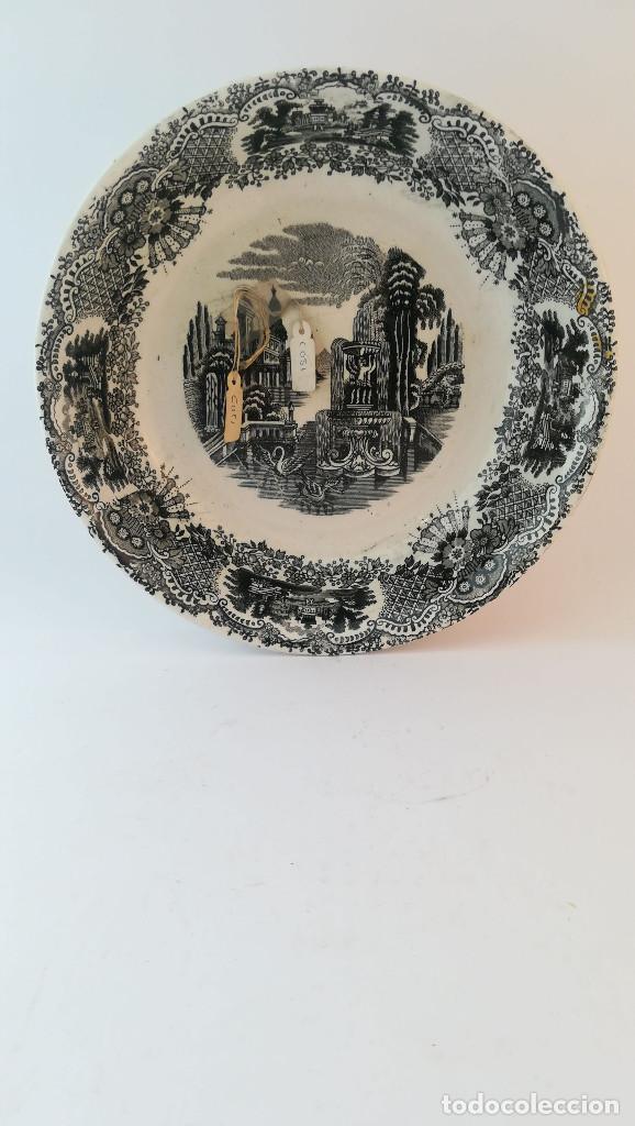 Antig&uuml;edades: FUENTE PORCELANA PICKMAN - Foto 1