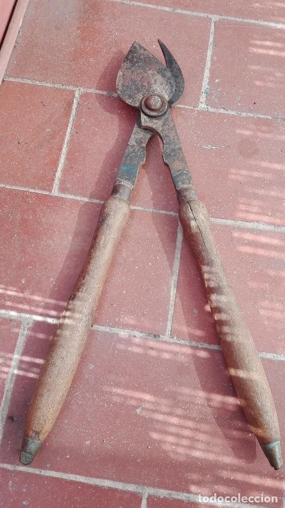 Antig&uuml;edades: ANTIGUAS TIJERAS DE PODAR - Foto 1