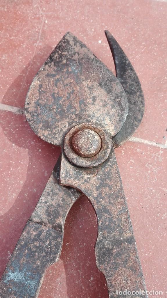 Antig&uuml;edades: ANTIGUAS TIJERAS DE PODAR - Foto 2