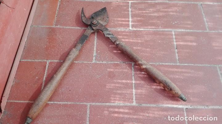 Antig&uuml;edades: ANTIGUAS TIJERAS DE PODAR - Foto 5