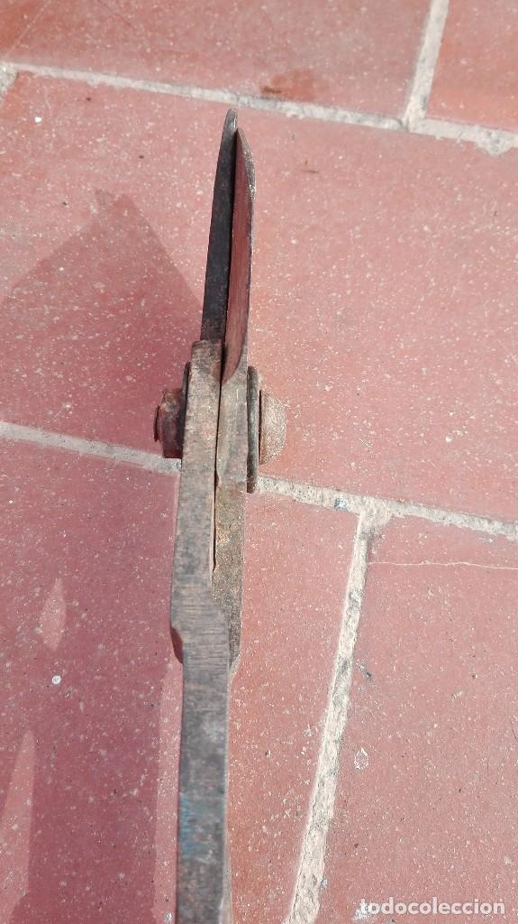 Antig&uuml;edades: ANTIGUAS TIJERAS DE PODAR - Foto 6