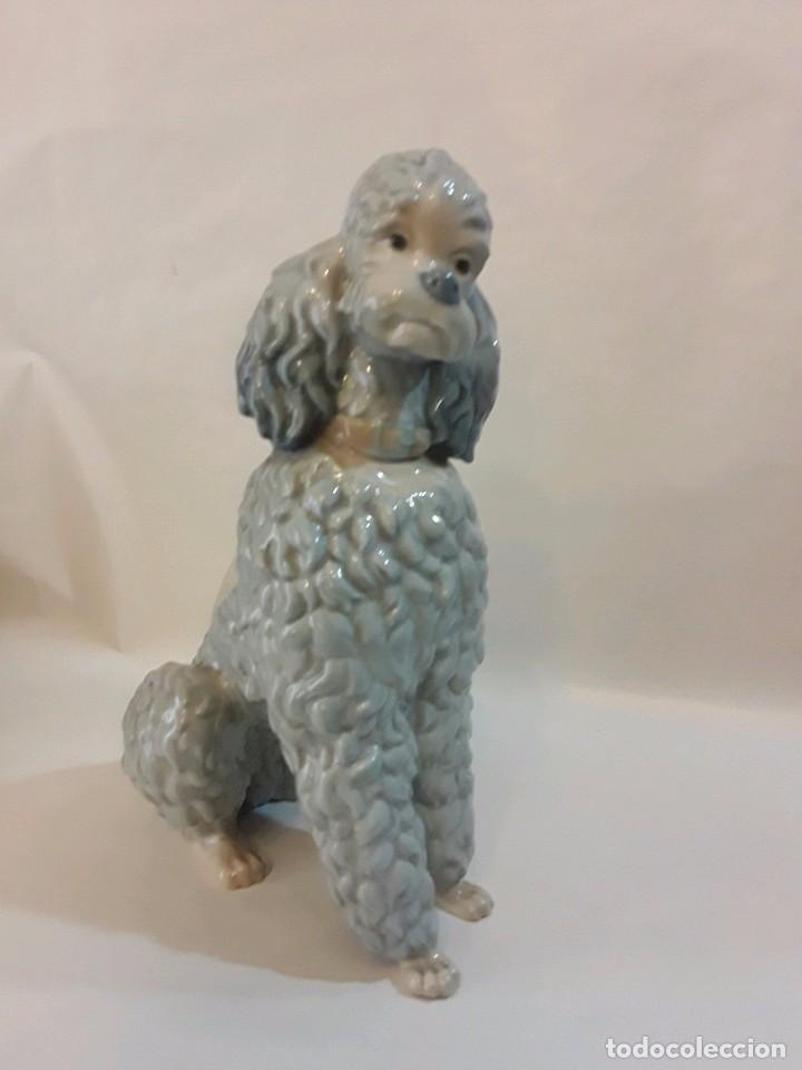 Antig&uuml;edades: CANICHE PERRO LLADRO - 22 CM - Foto 1