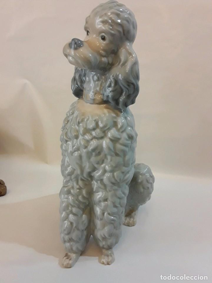 Antig&uuml;edades: CANICHE PERRO LLADRO - 22 CM - Foto 2