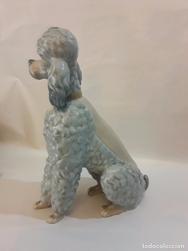 Antig&uuml;edades: CANICHE PERRO LLADRO - 22 CM - Foto 3