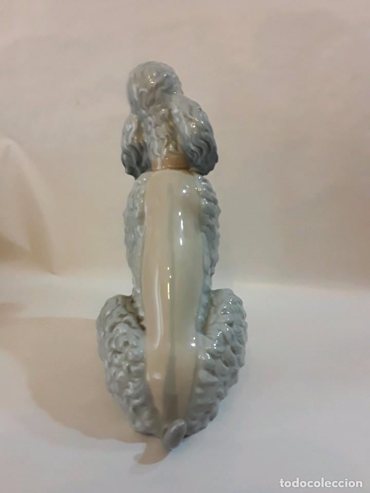 Antig&uuml;edades: CANICHE PERRO LLADRO - 22 CM - Foto 4
