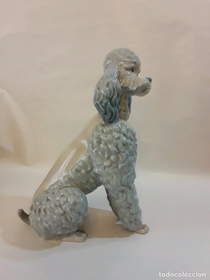 Antig&uuml;edades: CANICHE PERRO LLADRO - 22 CM - Foto 5