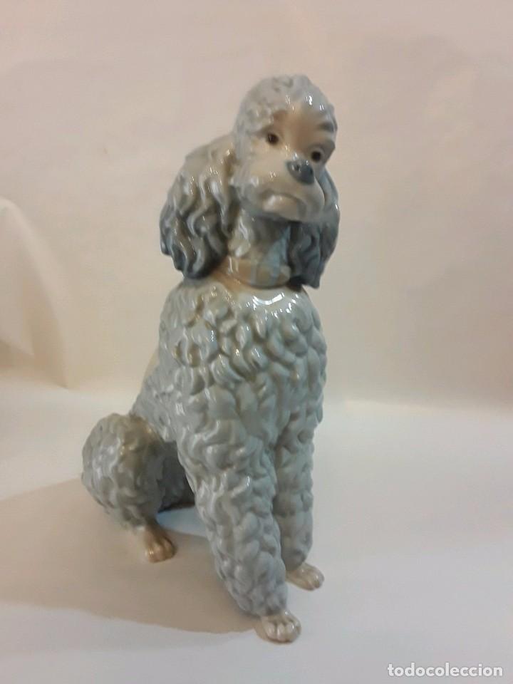 Antig&uuml;edades: CANICHE PERRO LLADRO - 22 CM - Foto 6