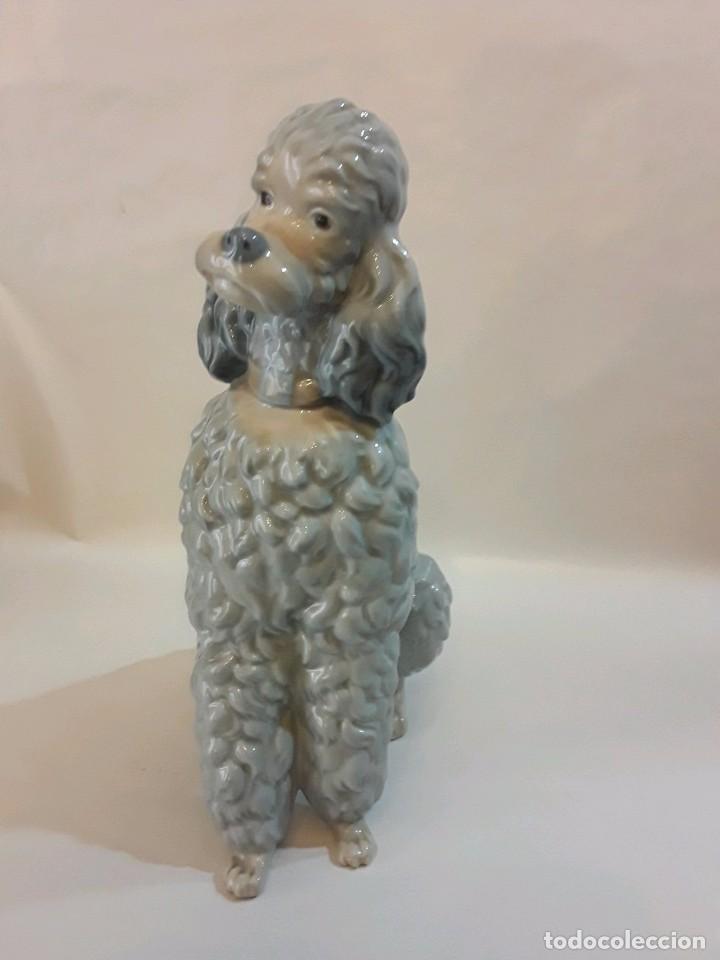 Antig&uuml;edades: CANICHE PERRO LLADRO - 22 CM - Foto 7