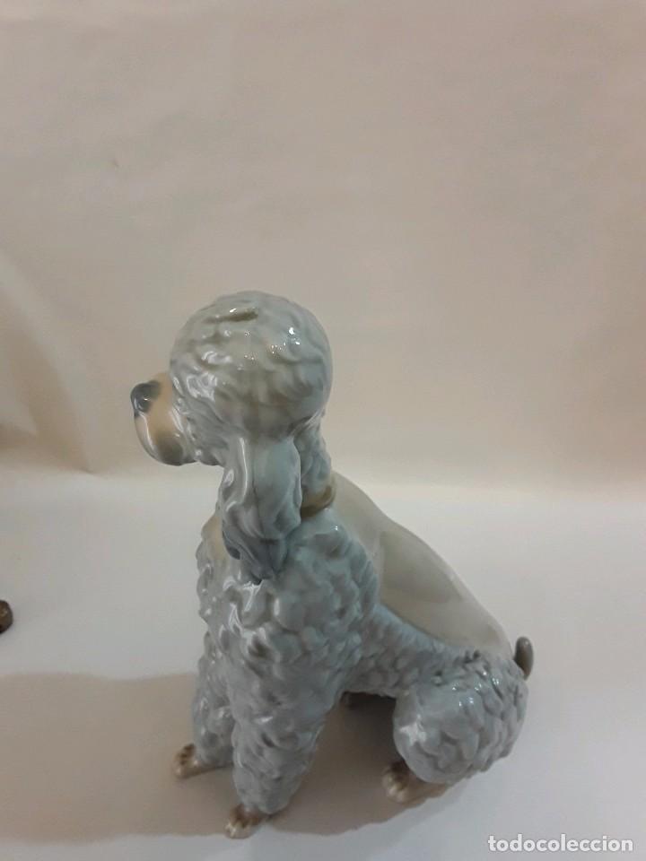 Antig&uuml;edades: CANICHE PERRO LLADRO - 22 CM - Foto 8