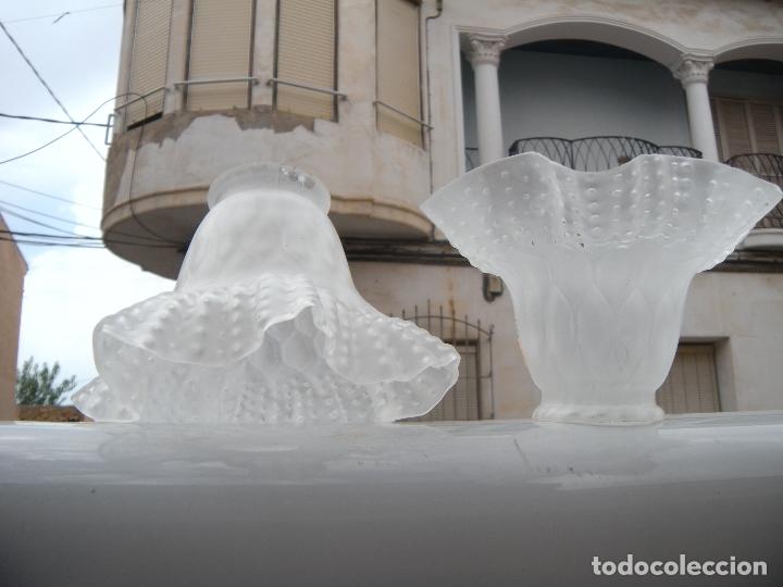 Antig&uuml;edades: TULIPA, LOTE DE DOS. - Foto 1