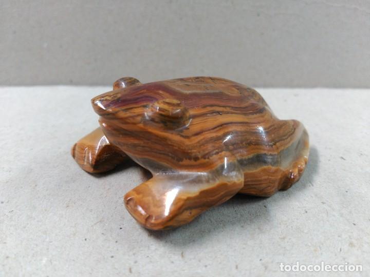 Antig&uuml;edades: RANA DE OJO DE TIGRE - Foto 1