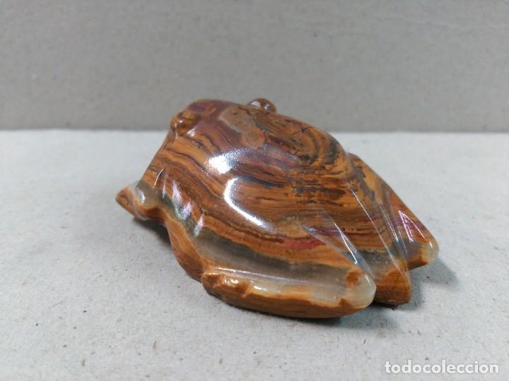 Antig&uuml;edades: RANA DE OJO DE TIGRE - Foto 3