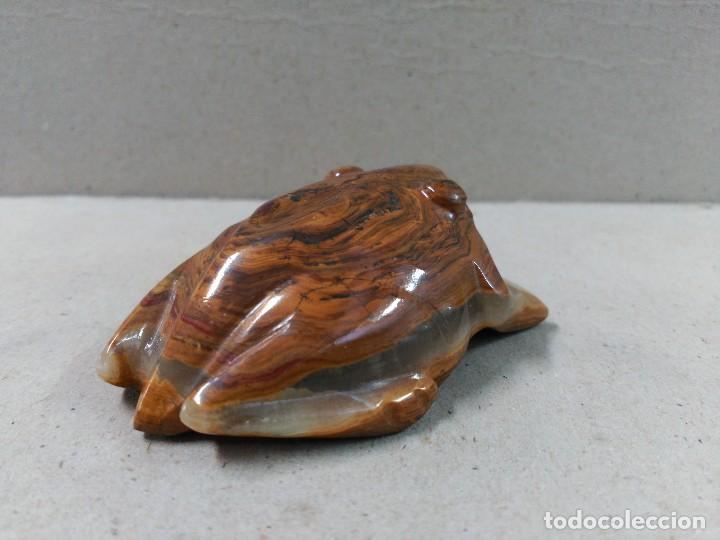 Antig&uuml;edades: RANA DE OJO DE TIGRE - Foto 4