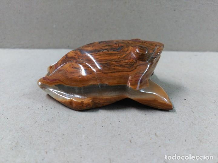 Antig&uuml;edades: RANA DE OJO DE TIGRE - Foto 5
