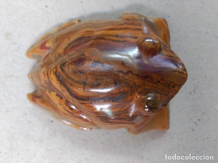 Antig&uuml;edades: RANA DE OJO DE TIGRE - Foto 7