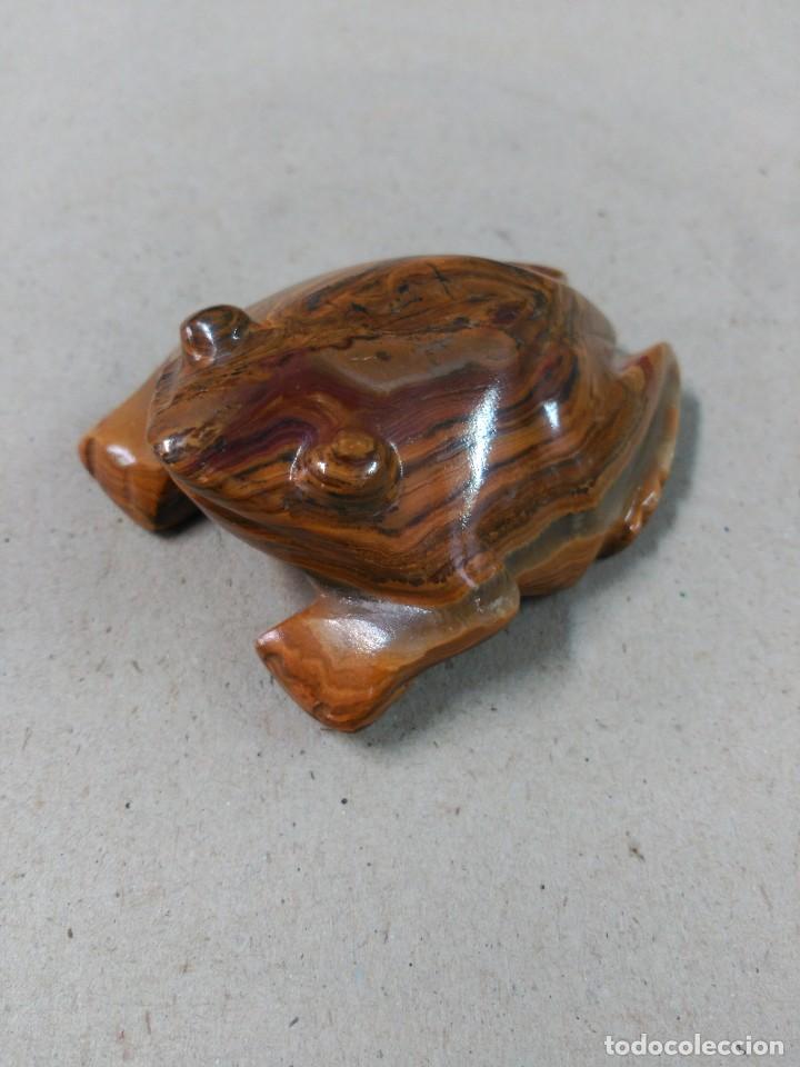 Antig&uuml;edades: RANA DE OJO DE TIGRE - Foto 9