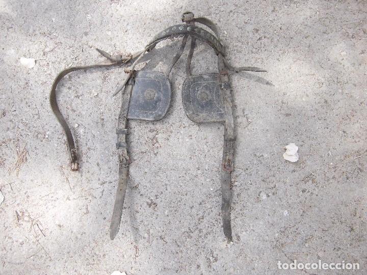 Antig&uuml;edades: cabezada antigua para burro, etc. - Foto 2