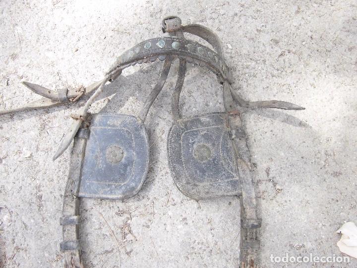 Antig&uuml;edades: cabezada antigua para burro, etc. - Foto 3