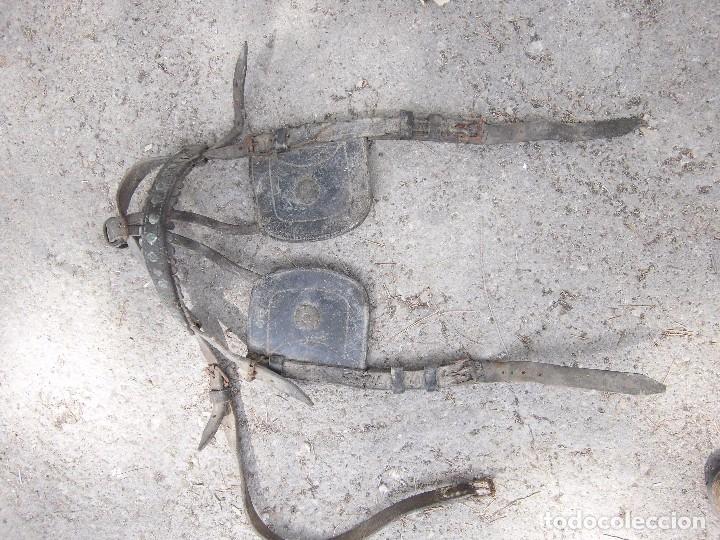 Antig&uuml;edades: cabezada antigua para burro, etc. - Foto 4
