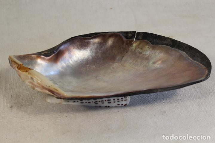 Antig&uuml;edades: bandeja concha de nacar - Foto 1