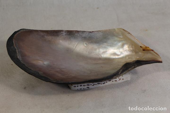 Antig&uuml;edades: bandeja concha de nacar - Foto 2