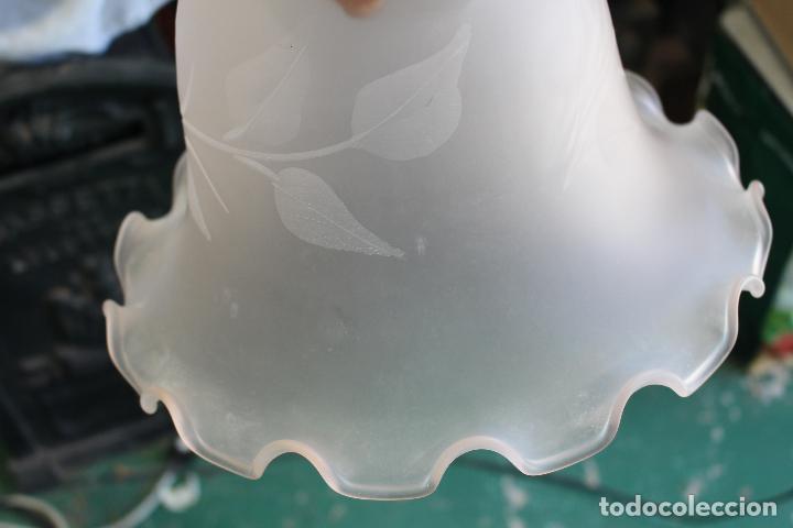 Antig&uuml;edades: tulipa rosa grande - Foto 9