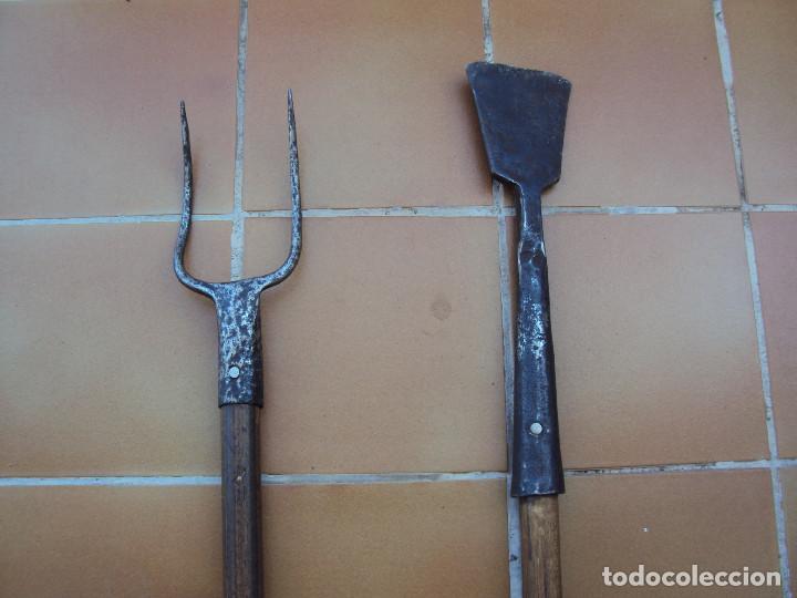 Antig&uuml;edades: APEROS DEL CAMPO - Foto 1