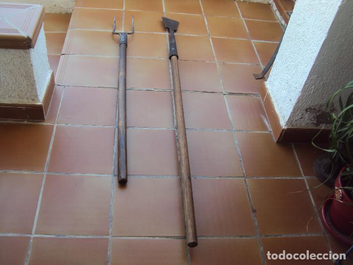 Antig&uuml;edades: APEROS DEL CAMPO - Foto 2