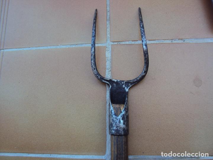 Antig&uuml;edades: APEROS DEL CAMPO - Foto 3
